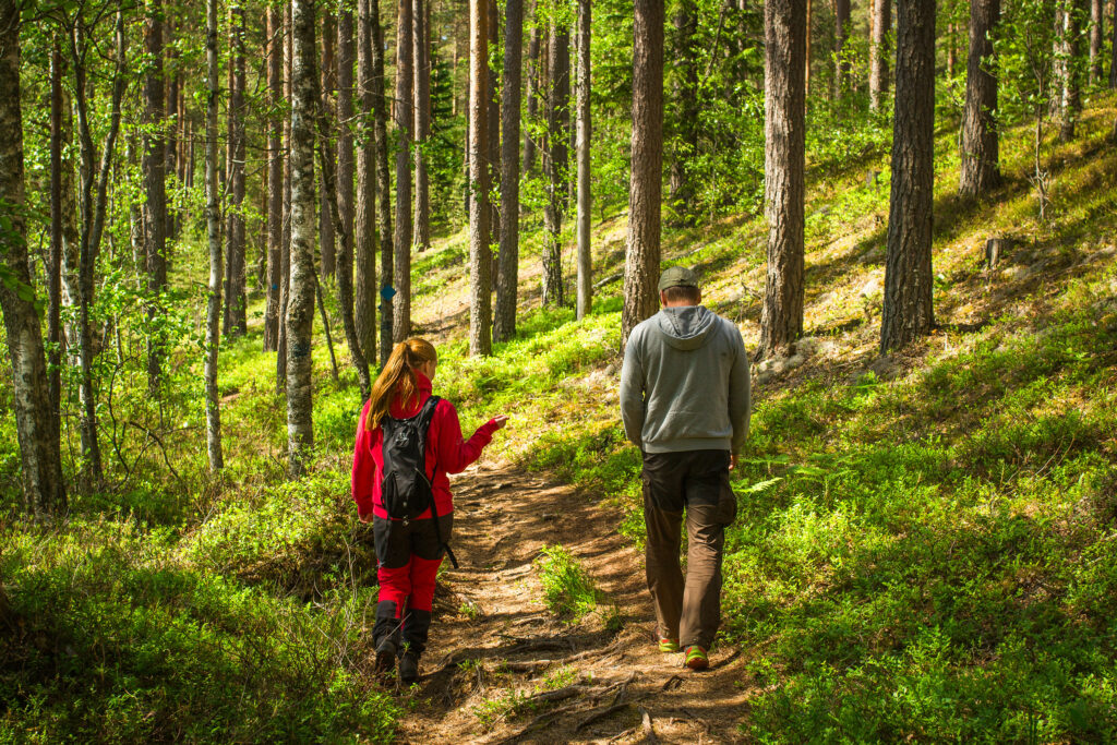 people walking in a forest